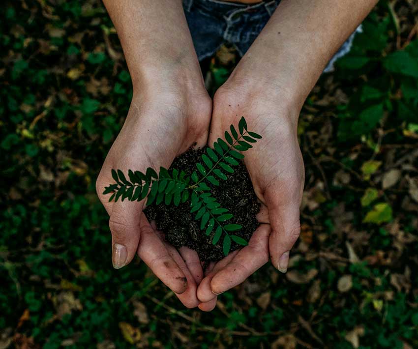 Browse the  Custom Earth Day Shirts range
