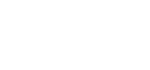 Space X logo